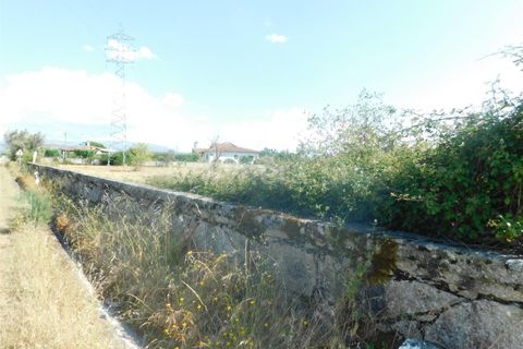 Terra a Seia, Guarda, Seia - € 90.000 | Ref: 382240078 - foto 2