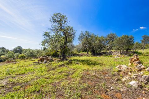 Ruinere i Olhao, Faro, Olhao - € 395.000 | Ref: HOME2347R - foto 9
