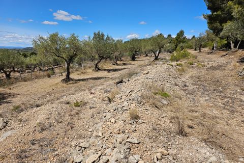 Finca i Camarles, Tarragona, Camarles - € 145.000 | Ref: Cam44jor - foto 18