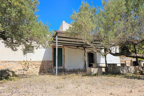 Finca i Camarles, Tarragona, Camarles - € 145.000 | Ref: Cam44jor - foto 25