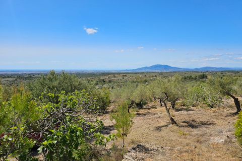 Finca i Camarles, Tarragona, Camarles - € 145.000 | Ref: Cam44jor - foto 17