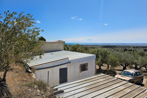 Finca i Camarles, Tarragona, Camarles - € 145.000 | Ref: Cam44jor - foto 14