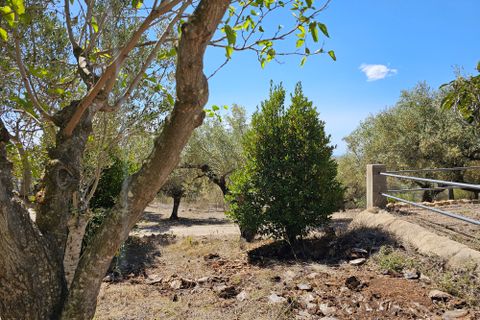Finca i Camarles, Tarragona, Camarles - € 145.000 | Ref: Cam44jor - foto 21