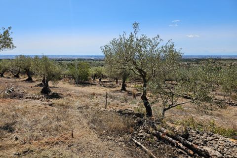 Finca i Camarles, Tarragona, Camarles - € 145.000 | Ref: Cam44jor - foto 19
