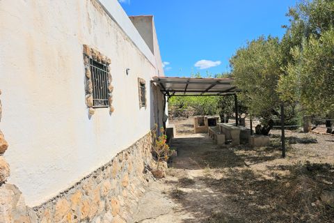 Finca i Camarles, Tarragona, Camarles - € 145.000 | Ref: Cam44jor - foto 23