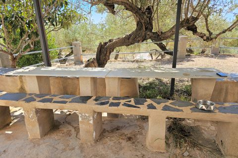 Finca i Camarles, Tarragona, Camarles - € 145.000 | Ref: Cam44jor - foto 13