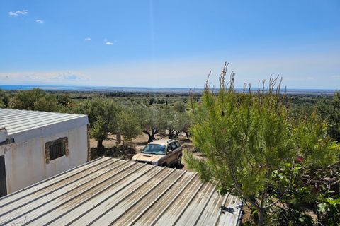 Finca i Camarles, Tarragona, Camarles - € 145.000 | Ref: Cam44jor - foto 15