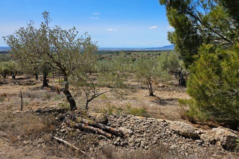 Finca i Camarles, Tarragona, Camarles - € 145.000 | Ref: Cam44jor - foto 20