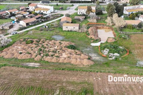 Landejendom i Capalbio, Grosseto, Capalbio - € 190.000 | Ref: V-0079 - foto 1