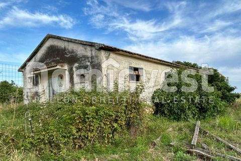 Landejendom i Capalbio, Grosseto, Capalbio - € 190.000 | Ref: V-0079 - foto 5