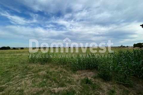 Landejendom i Capalbio, Grosseto, Capalbio - € 190.000 | Ref: V-0079 - foto 6