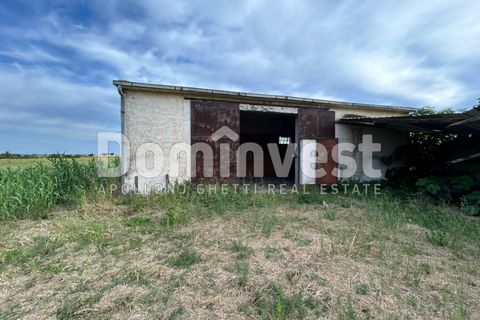 Landejendom i Capalbio, Grosseto, Capalbio - € 190.000 | Ref: V-0079 - foto 7