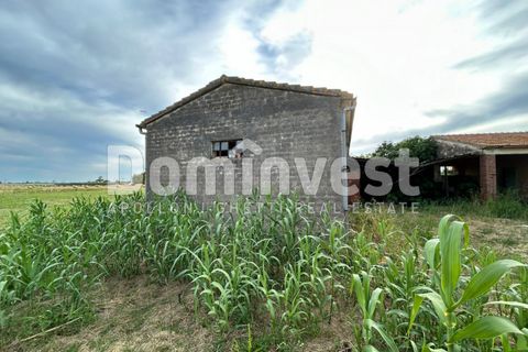 Landejendom i Capalbio, Grosseto, Capalbio - € 190.000 | Ref: V-0079 - foto 8