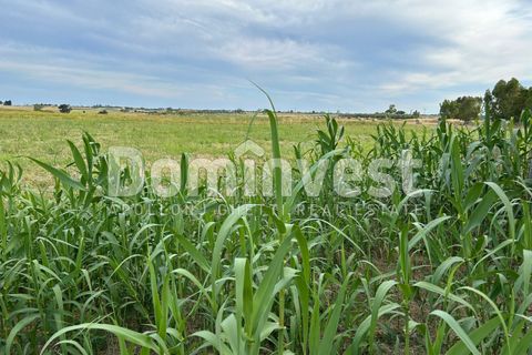 Landejendom i Capalbio, Grosseto, Capalbio - € 190.000 | Ref: V-0079 - foto 9