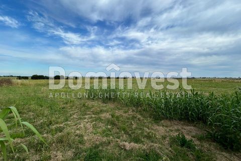 Landejendom i Capalbio, Grosseto, Capalbio - € 190.000 | Ref: V-0079 - foto 10
