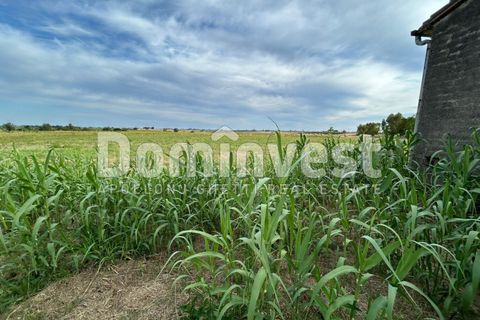 Landejendom i Capalbio, Grosseto, Capalbio - € 190.000 | Ref: V-0079 - foto 11