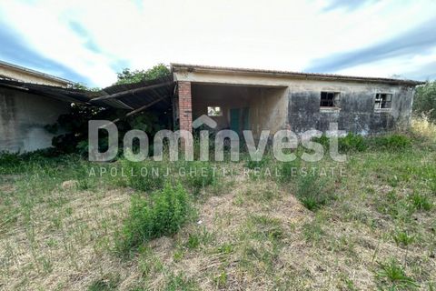 Landejendom i Capalbio, Grosseto, Capalbio - € 190.000 | Ref: V-0079 - foto 12