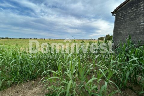 Landejendom i Capalbio, Grosseto, Capalbio - € 190.000 | Ref: V-0079 - foto 13