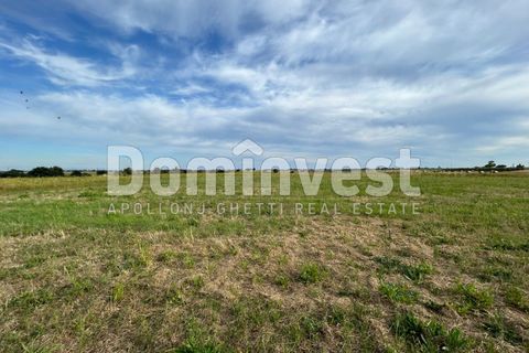 Landejendom i Capalbio, Grosseto, Capalbio - € 190.000 | Ref: V-0079 - foto 14