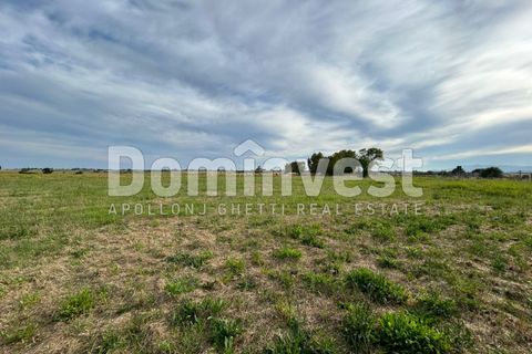 Landejendom i Capalbio, Grosseto, Capalbio - € 190.000 | Ref: V-0079 - foto 15