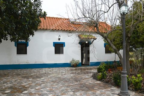 Villa a Coruche, Santarem, Coruche - € 365.000 | Ref: 542.009 - foto 4