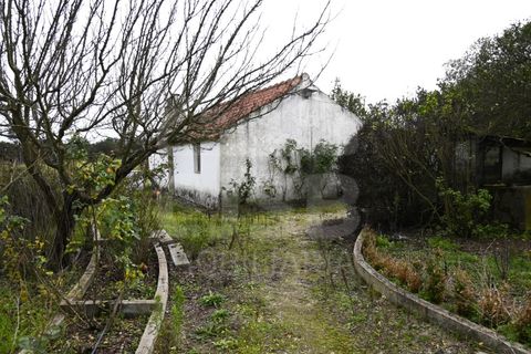 Villa a Coruche, Santarem, Coruche - € 365.000 | Ref: 542.009 - foto 21