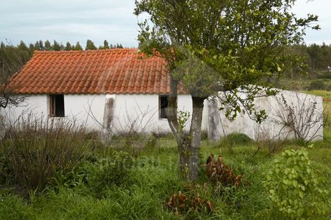 Villa a Coruche, Santarem, Coruche - € 365.000 | Ref: 542.009 - foto 22