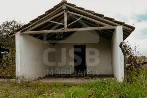 Villa a Coruche, Santarem, Coruche - € 365.000 | Ref: 542.009 - foto 23