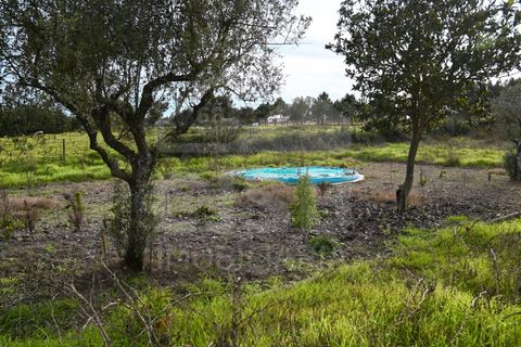 Villa a Coruche, Santarem, Coruche - € 365.000 | Ref: 542.009 - foto 30