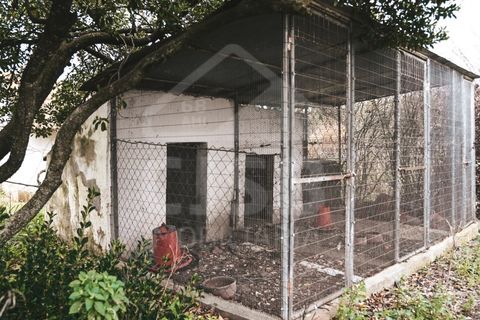 Villa a Coruche, Santarem, Coruche - € 365.000 | Ref: 542.009 - foto 31