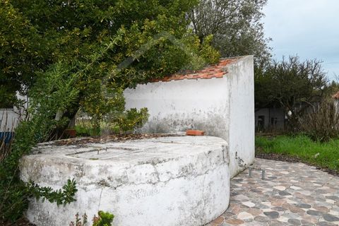 Villa a Coruche, Santarem, Coruche - € 365.000 | Ref: 542.009 - foto 33