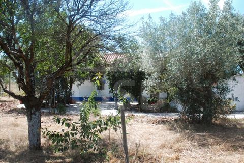 Villa a Coruche, Santarem, Coruche - € 365.000 | Ref: 542.009 - foto 34