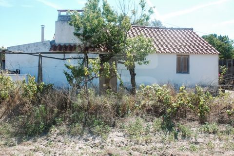 Villa a Coruche, Santarem, Coruche - € 365.000 | Ref: 542.009 - foto 35