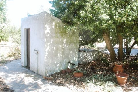 Villa a Coruche, Santarem, Coruche - € 365.000 | Ref: 542.009 - foto 36