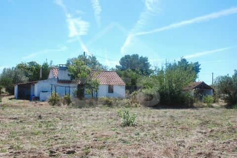 Villa a Coruche, Santarem, Coruche - € 365.000 | Ref: 542.009 - foto 37