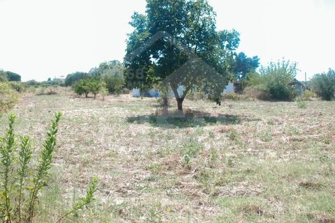 Villa a Coruche, Santarem, Coruche - € 365.000 | Ref: 542.009 - foto 38