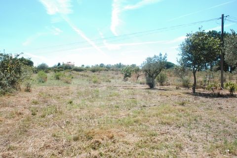 Villa a Coruche, Santarem, Coruche - € 365.000 | Ref: 542.009 - foto 40
