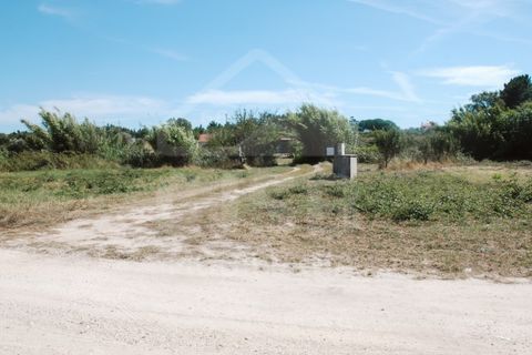Villa a Coruche, Santarem, Coruche - € 365.000 | Ref: 542.009 - foto 41