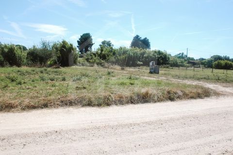 Villa a Coruche, Santarem, Coruche - € 365.000 | Ref: 542.009 - foto 42