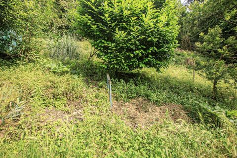 Lejlighed i Genoa, Genoa, Genoa - € 95.000 | Ref: castrofino95 - foto 44