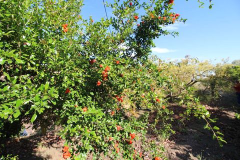 Villa i Torrox, Malaga, Torrox - € 295.000 | Ref: 4748 - foto 27