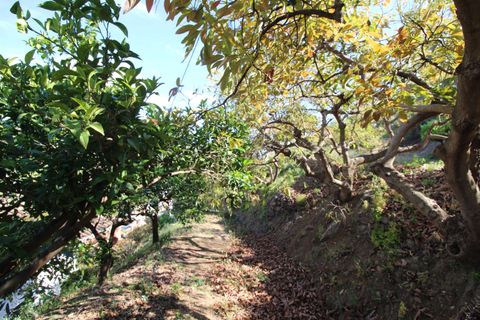 Villa i Torrox, Malaga, Torrox - € 295.000 | Ref: 4748 - foto 28