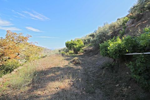 Villa i Torrox, Malaga, Torrox - € 295.000 | Ref: 4748 - foto 29