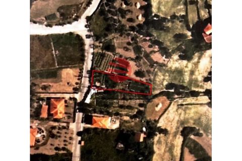 Helårsgrund i Mangualde, Viseu, Mangualde - € 25.000 | Ref: VM3004 - foto 1