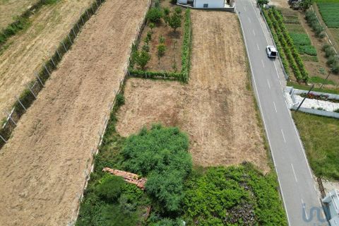 Helårsgrund i Miranda do Corvo, Coimbra, Miranda do Corvo - € 9.000 | Ref: 121041 - foto 3