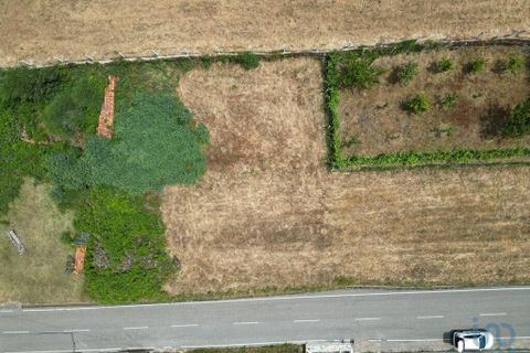 Helårsgrund i Miranda do Corvo, Coimbra, Miranda do Corvo - € 9.000 | Ref: 121041 - foto 4