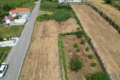 Helårsgrund i Miranda do Corvo, Coimbra, Miranda do Corvo - € 9.000 | Ref: 121041 - foto 5