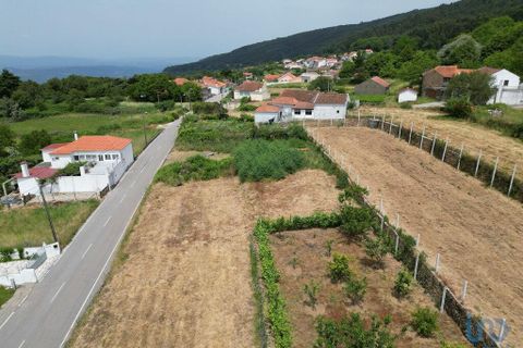 Helårsgrund i Miranda do Corvo, Coimbra, Miranda do Corvo - € 9.000 | Ref: 121041 - foto 6