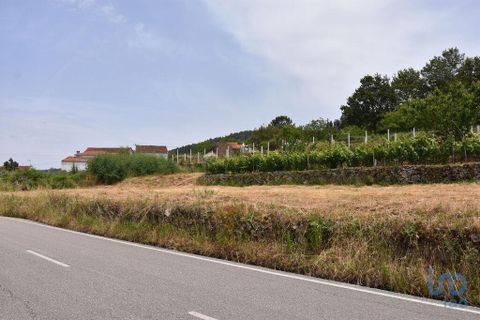 Helårsgrund i Miranda do Corvo, Coimbra, Miranda do Corvo - € 9.000 | Ref: 121041 - foto 8