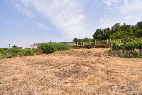 Helårsgrund i Miranda do Corvo, Coimbra, Miranda do Corvo - € 9.000 | Ref: 121041 - foto 9